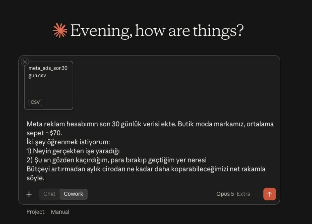 Claude ekranı: son 30 günün Meta reklam verisi CSV olarak ekli, markanın bağlamı verilmiş ve iki net soru sorulup net rakam istenmiş