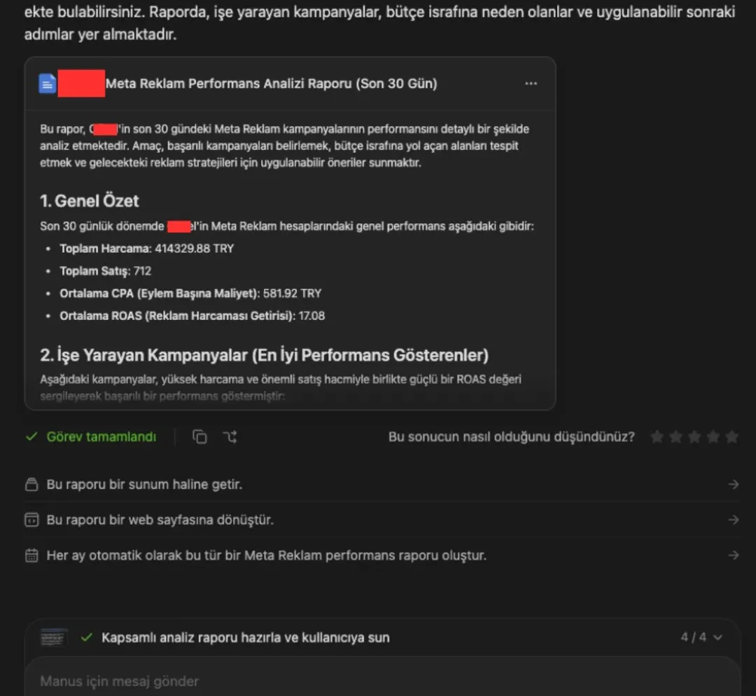 30 günlük performans raporu