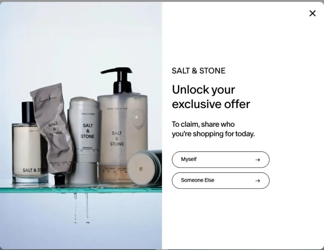 Salt & Stone e-posta pop-up'ı
